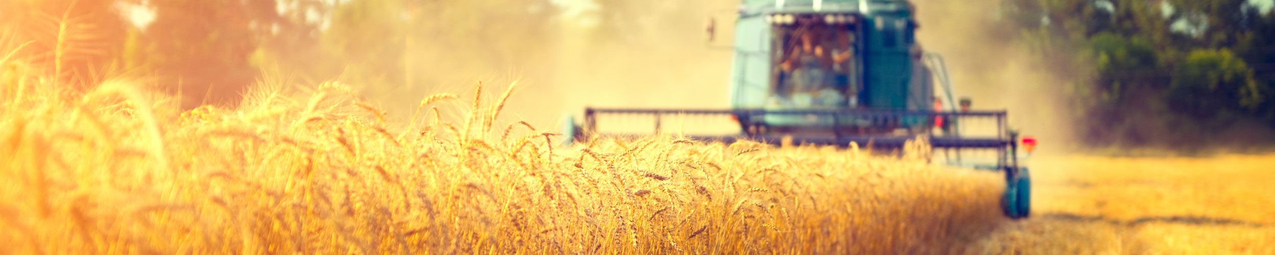 top_full_banner100303